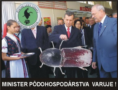 Minister pôdohospodárstva Jureňa varuje pred lykožrútom smrekovým