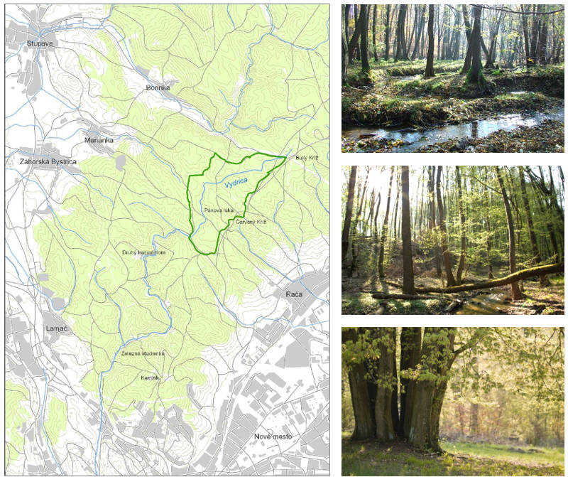 Pramene Vydrice - mapa rezervácie Pramene Vydrice - mapa rezervácie